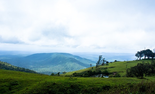 弗里克：拉菲尼亚回归对球队非常利好，我们仍有需要改进之处