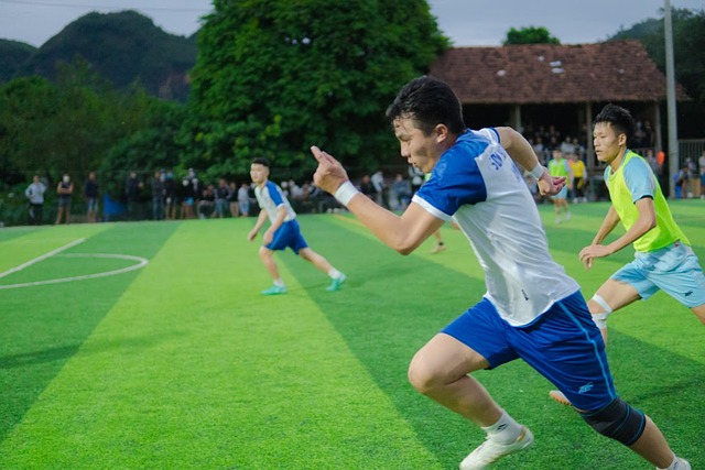 策废止后的
