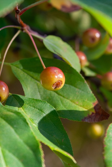 次助攻和 次助攻和