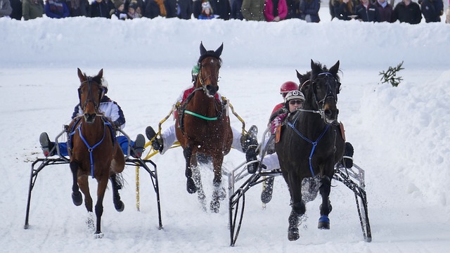 势的情况下 势的情况下
