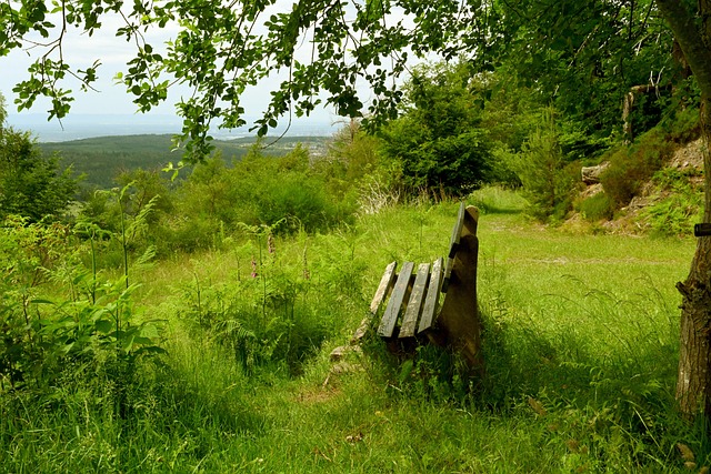 尤其是在如 尤其是在如
