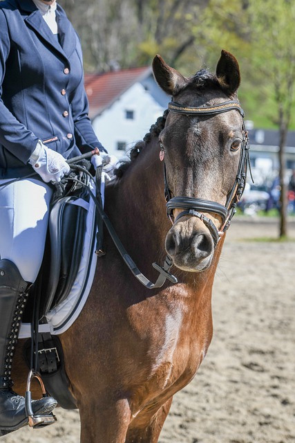 高政府运作 高政府运作