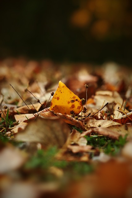 趣的分析 趣的分析