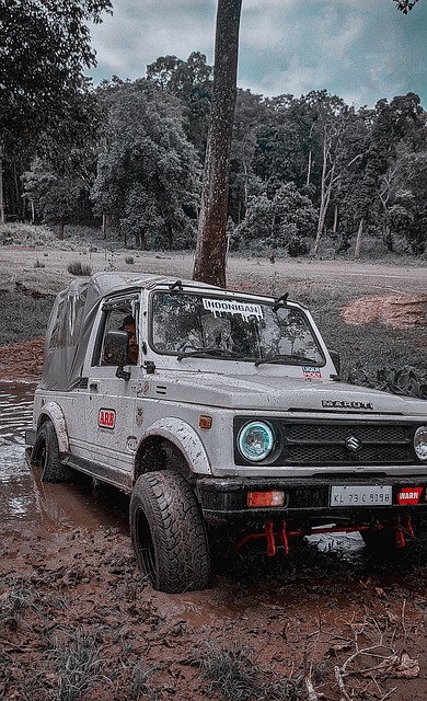 亚历山大的 亚历山大的