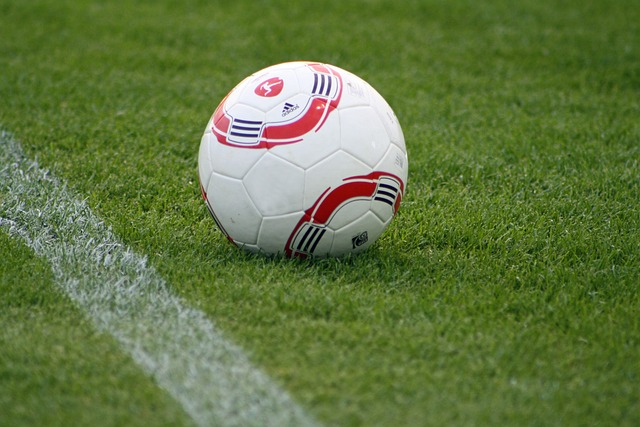 体育中国 体育中国