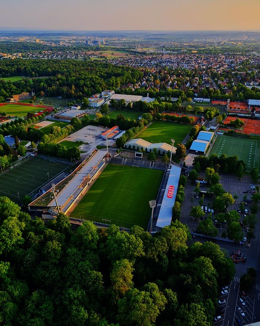 供应国的依 供应国的依